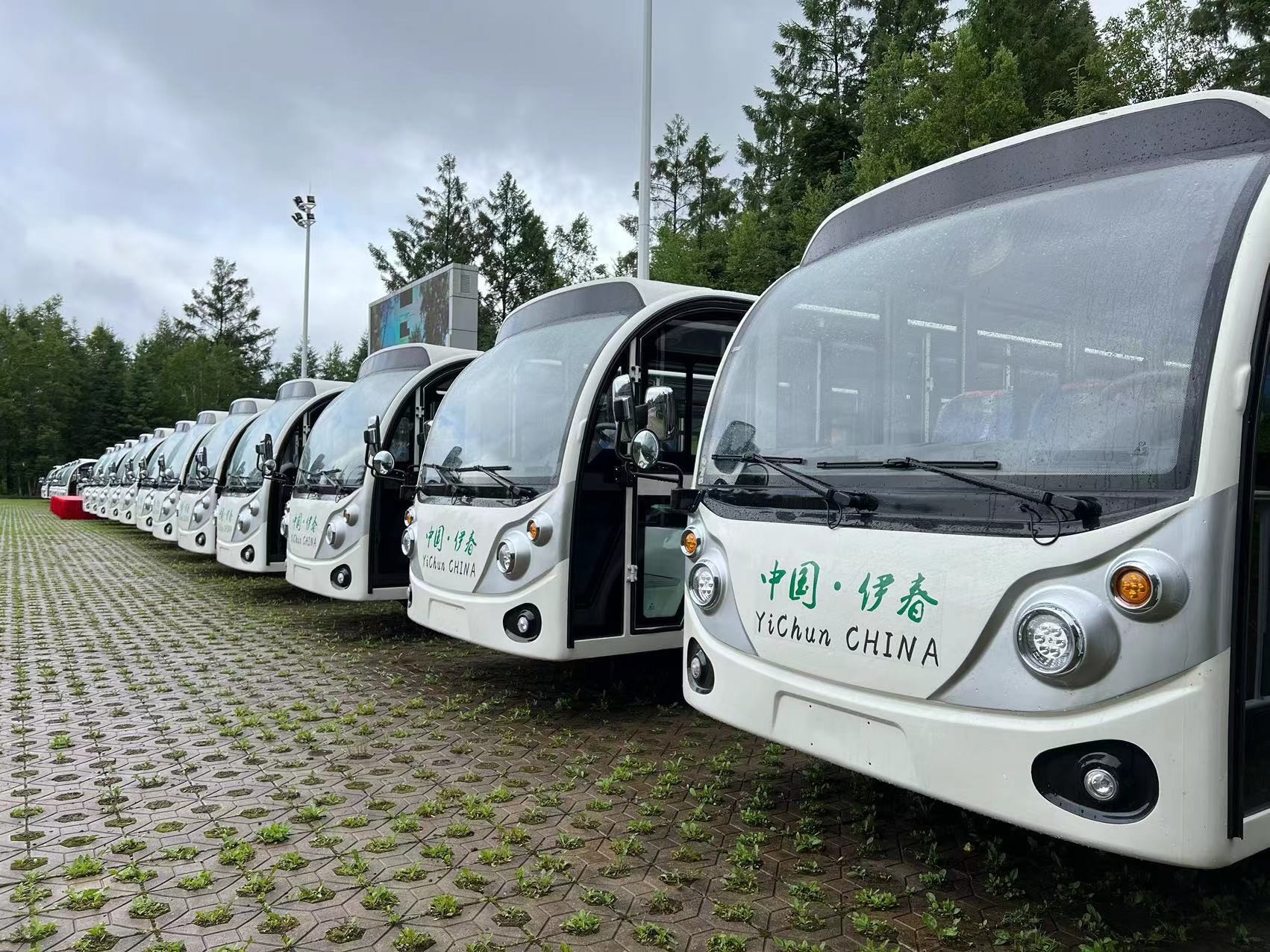 忠輝觀光車 忠輝觀光車