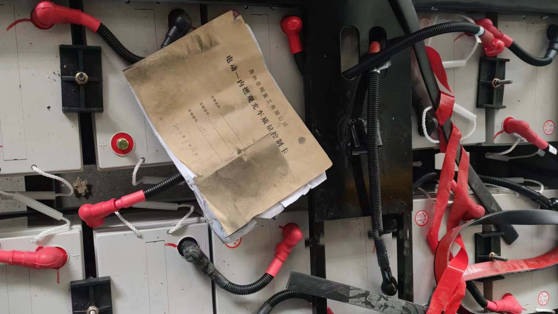 忠輝觀光車 忠輝觀光車