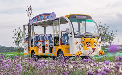 旅游景區(qū)為什么要用燃油觀光車？